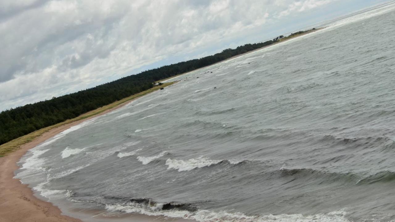 Paradise Surf Bugalow Small Campingplatz